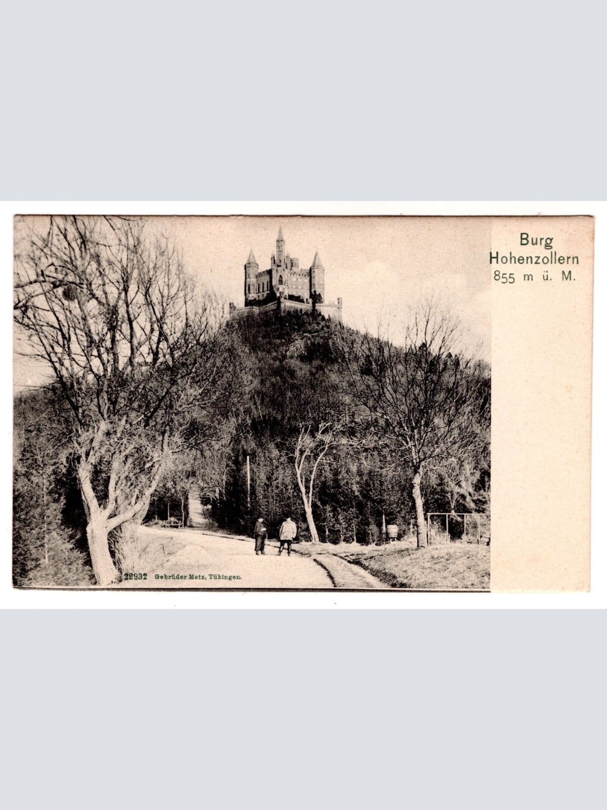 AK, Hohenzollern, Bisingen, Baden-Württemberg, Ansichtskarte (S6881)