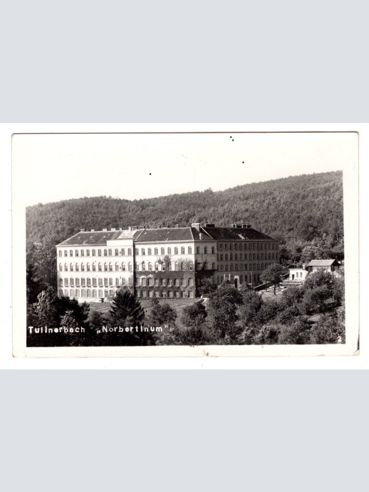 AK, Tullnerbach, Norbertinum, Niederösterreich, Ansichtskarte (S6916)