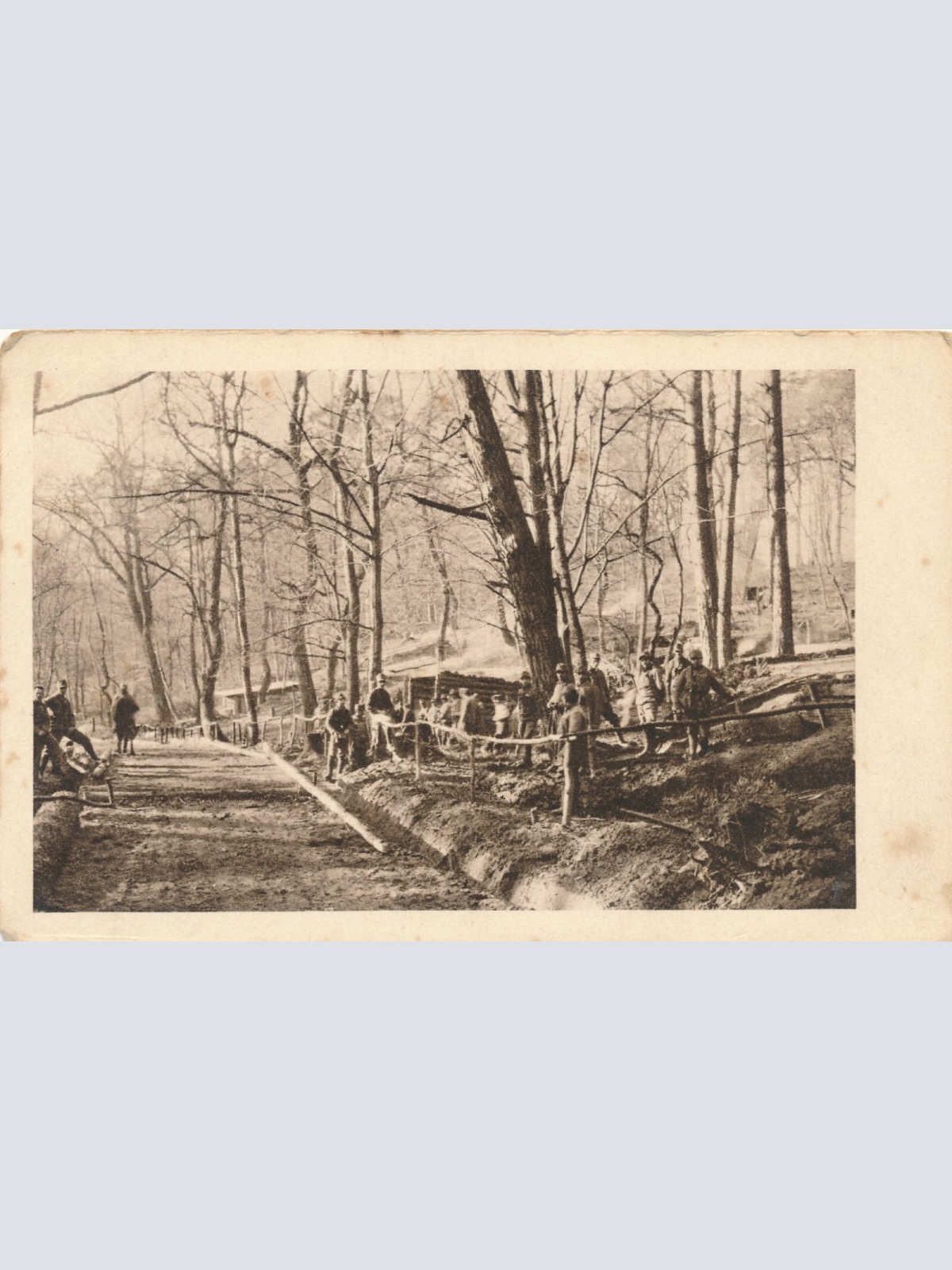 K. u. K. Feldpostamt Nr. 57 Soldaten im Wald (14425)