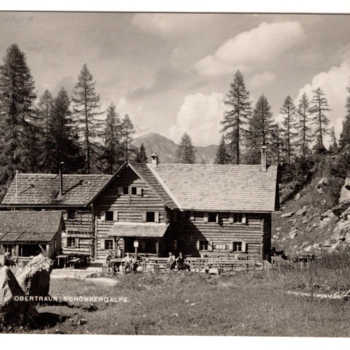 AK, Obertraun Schönbergalpe, Oberösterreich, Ansichtskarte (S6974)