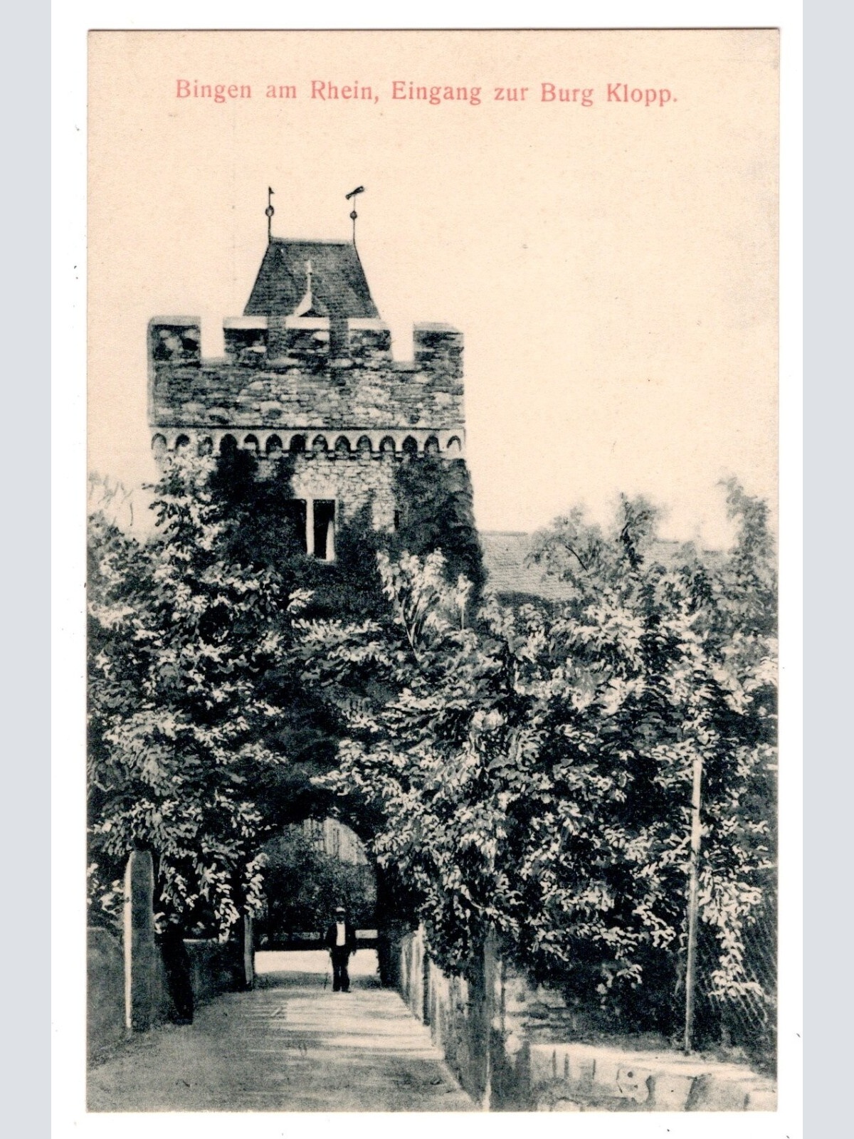 AK, Bingen am Rhein, Rheinland-Pfalz, Burg Klopp, Ansichtskarte (S7044)