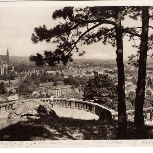 AK, Mödling, Niederösterreich, Ansichtskarte (S7107)