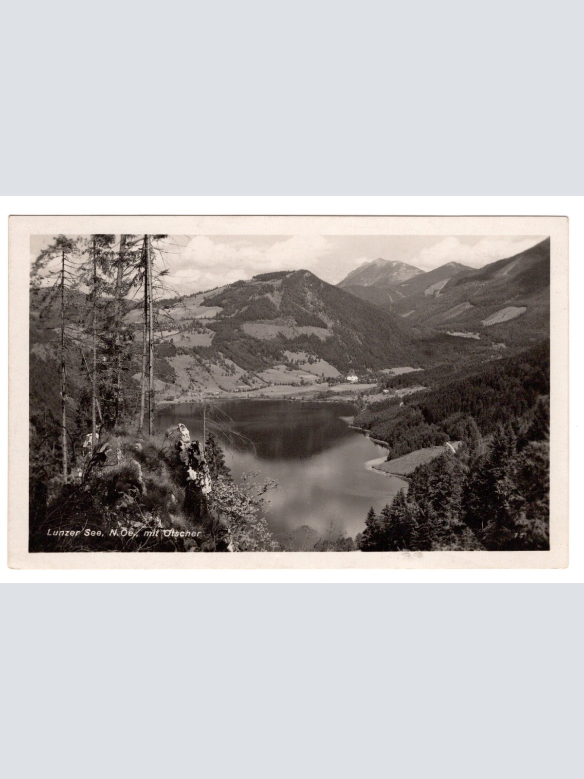 AK, Lunzersee mit Ötscher, Niederösterreich, Ansichtskarte (S7159)
