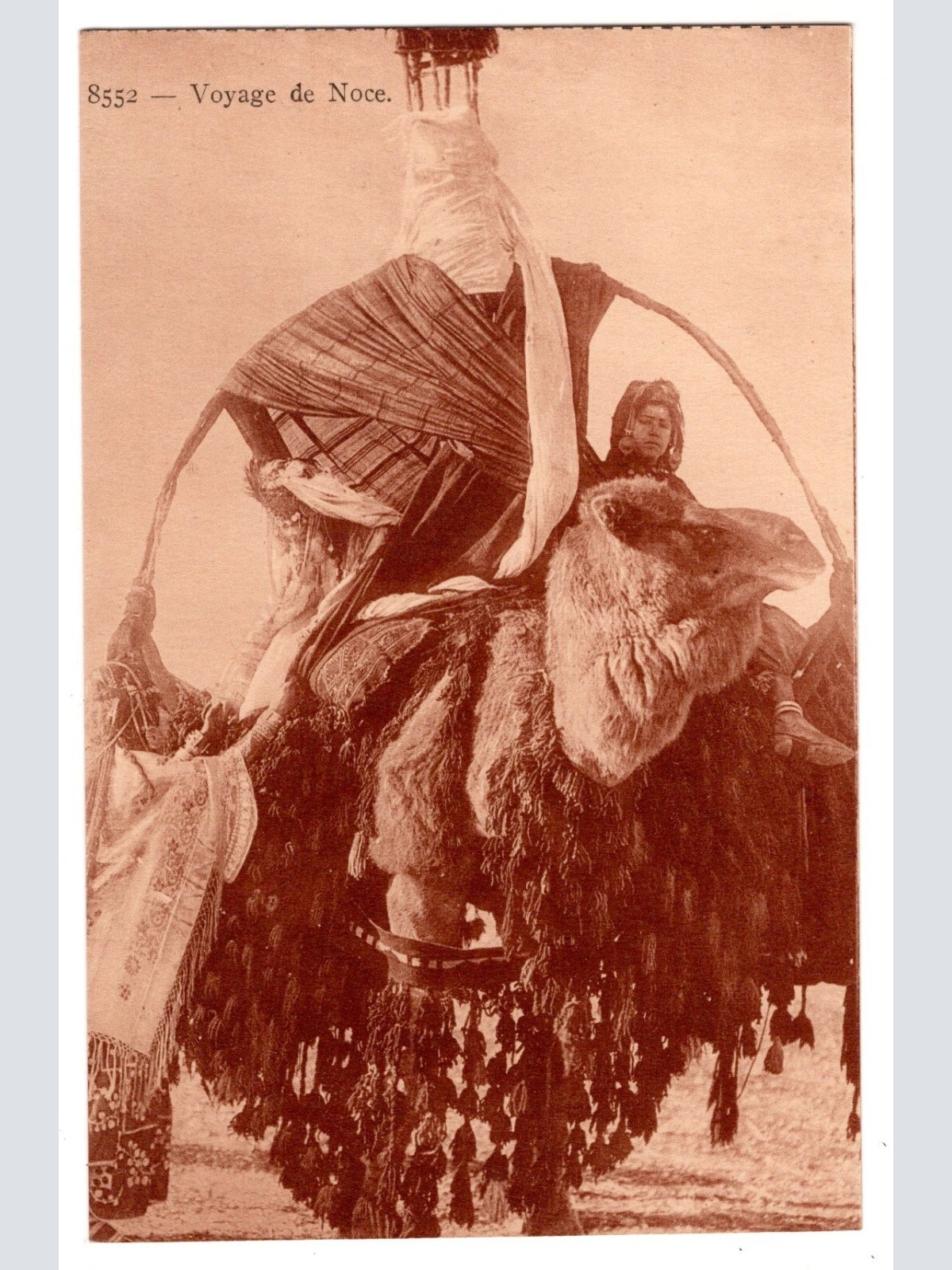 AK, Voyage de Noce, Ansichtskarte (S7268)