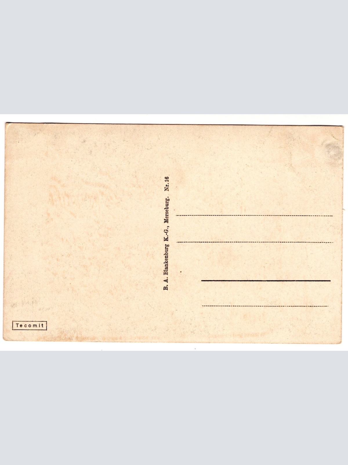 AK, Merseburg, Saalepartie mit Schloss u. Neumarktskirche, Ansichtskarte (S7358)