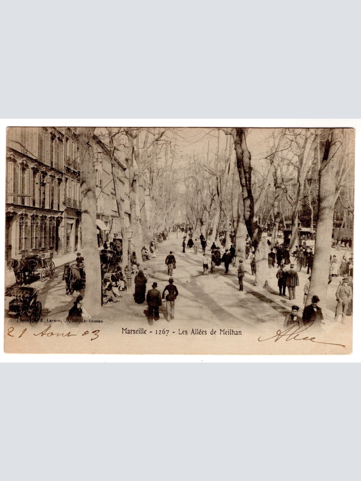 AK, Marseille, Les Allees de Meilhan, Frankreich, Ansichtskarte (S7383)