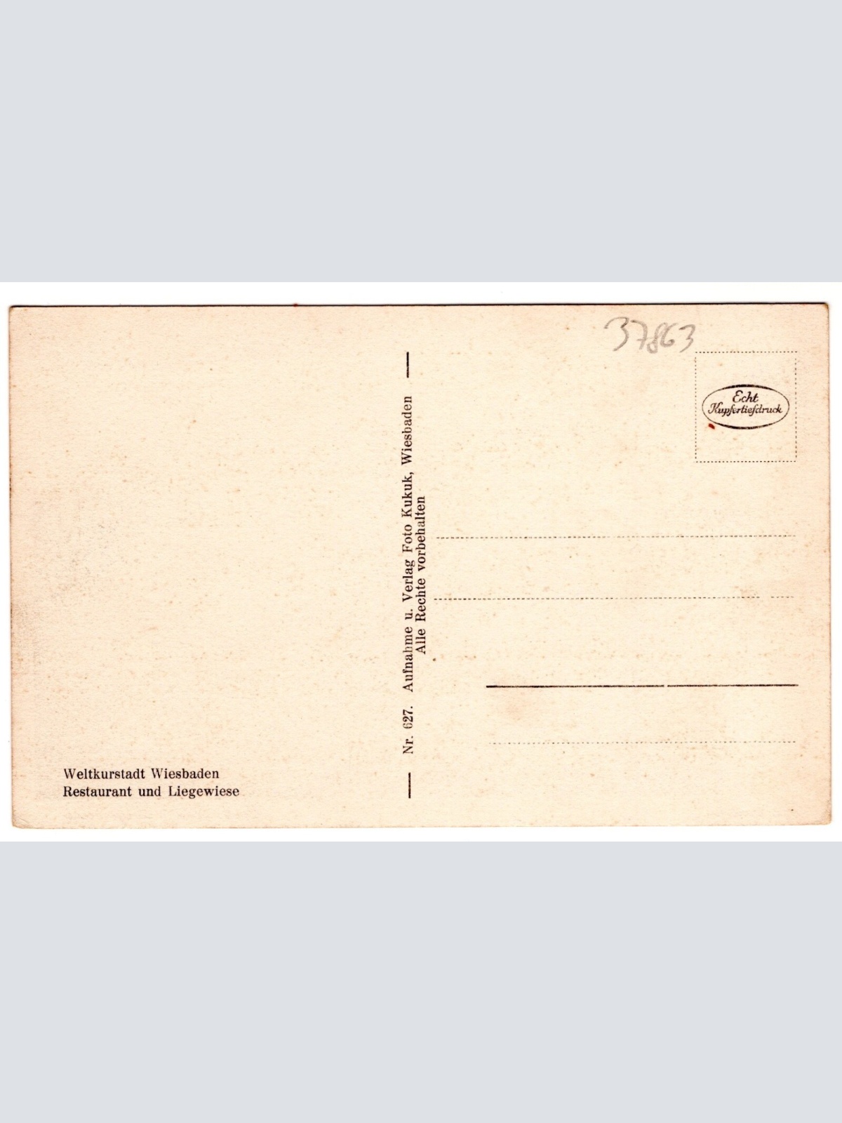 AK, Wiesbaden, Liegewiese, Hessen, Ansichtskarte (S7408)