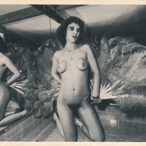 AK Akt Busen Nackte Frau Eviline Ansichtskarte (14581)