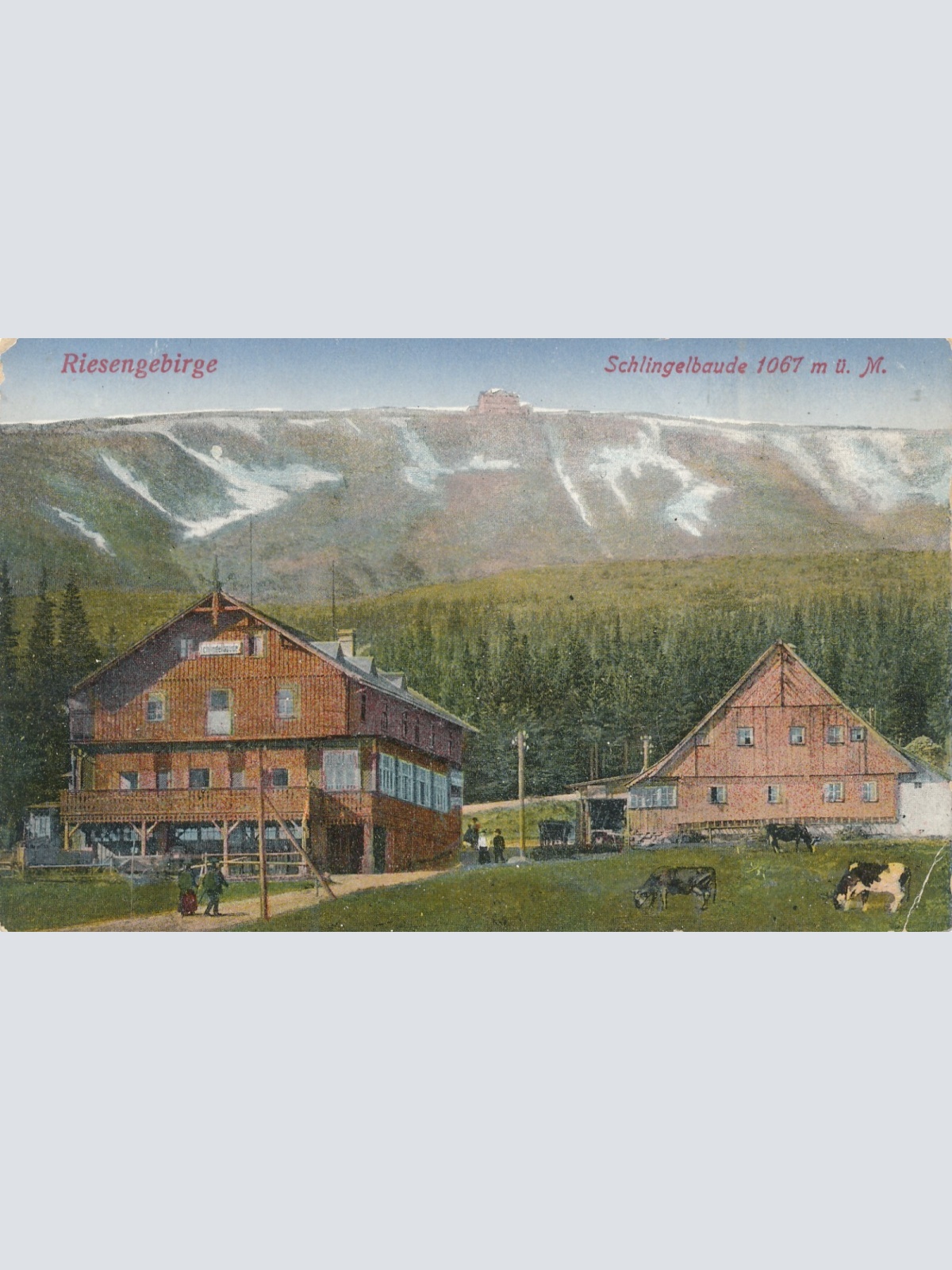 AK vom Riesengebirge Schlingelbaude Tschechoslowakei Ansichtskarte (14338)