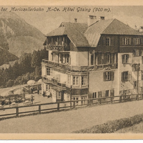 AK aus Gösing an der Mariazellerbahn Niederösterreich Ansichtskarte (14872)