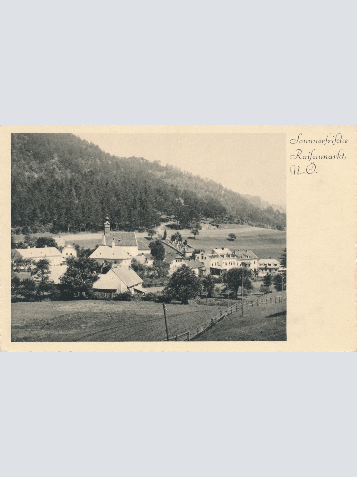 AK aus Raifenmarkt Niederösterreich Ansichtskarte (14873)