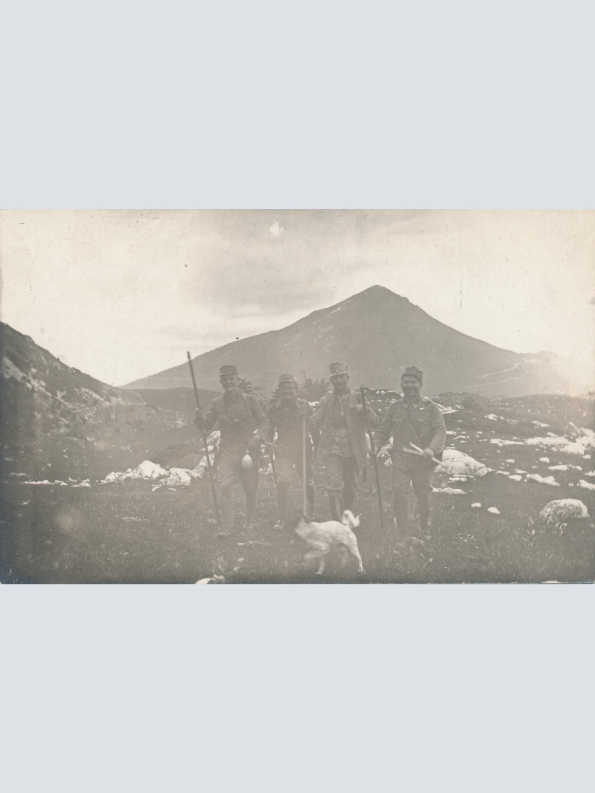 AK Soldaten im Gebirge mit Hund Militaria (14802)