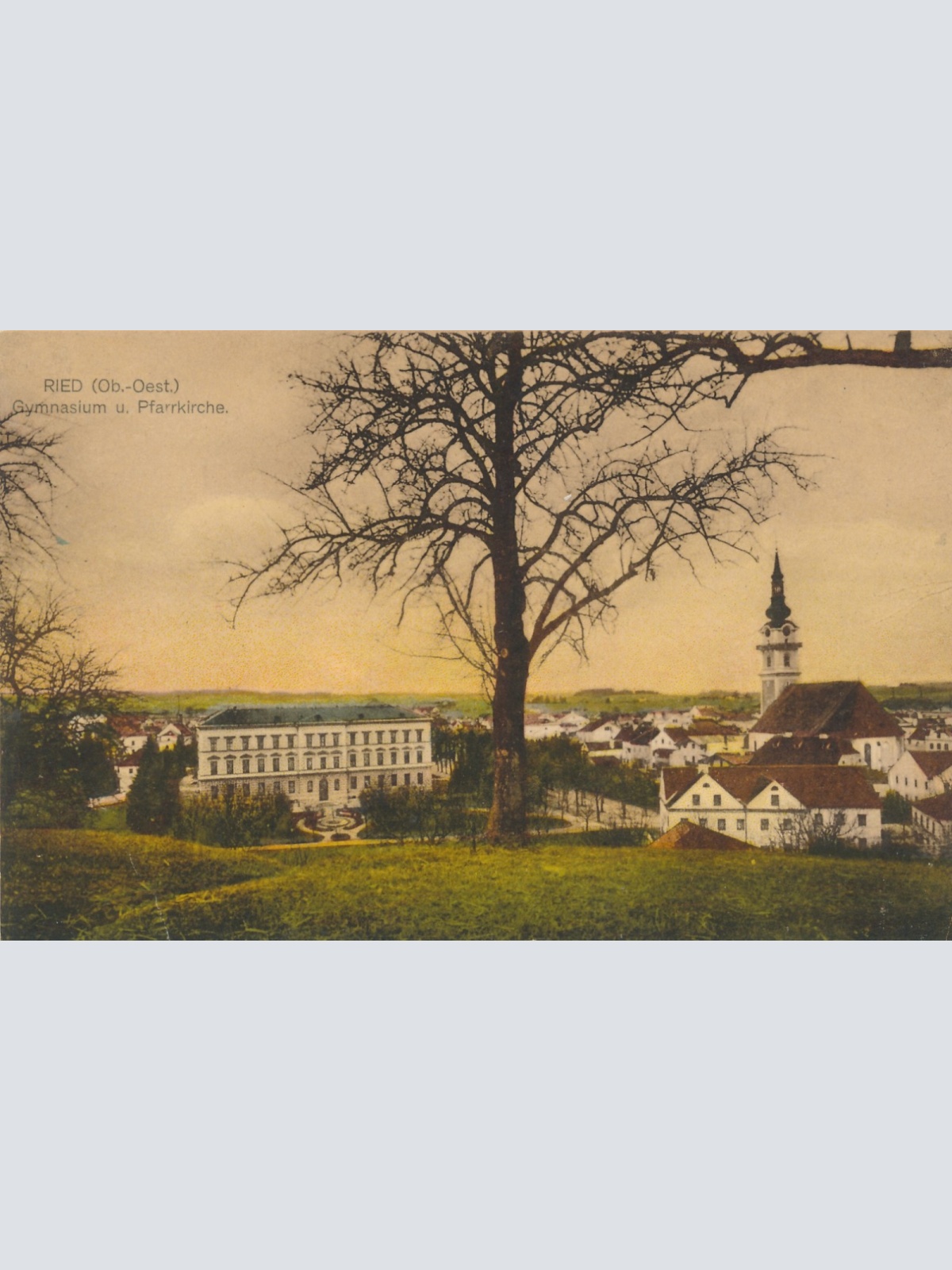 AK aus Ried Gymnasium und Pfarrkirche Oberösterreich Ansichtskarte (15028)