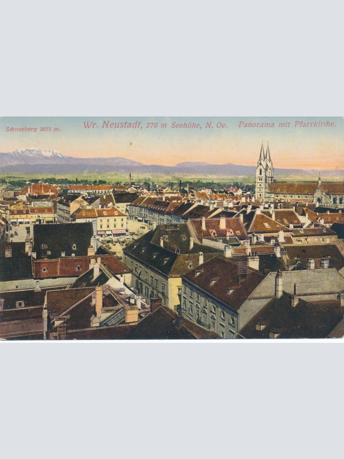 AK aus Wr. Neustadt Niederösterreich Ansichtskarte (15815)