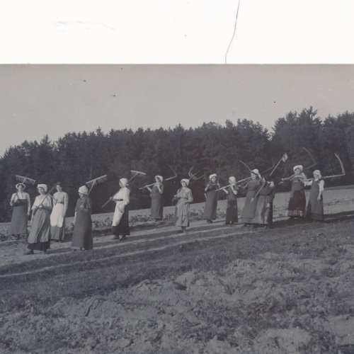 AK Annodazumals Frauen bei der Feldarbeit Ansichtskarte (16259)