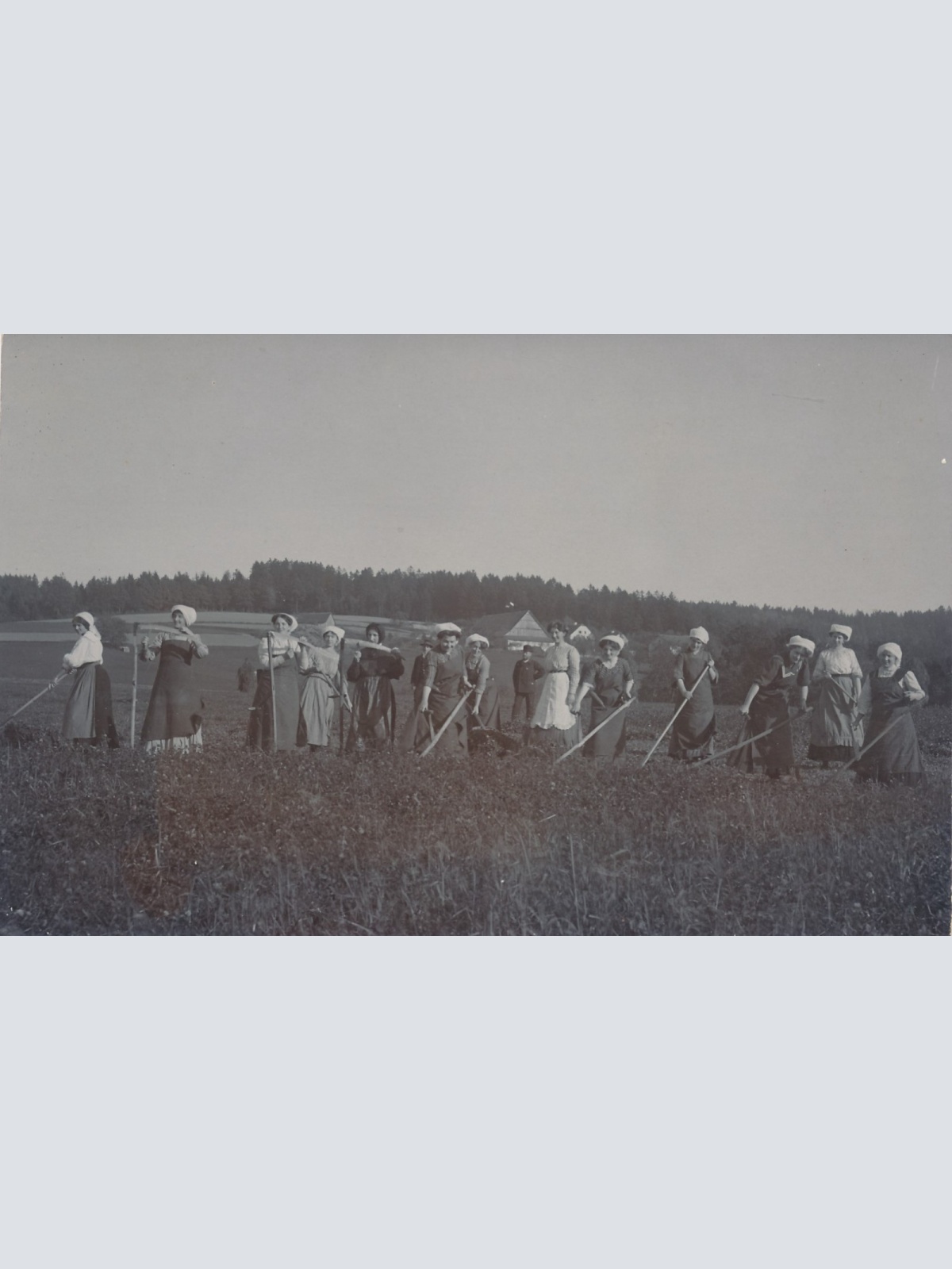 AK Annodazumals Frauen bei der Feldarbeit Ansichtskarte (16254)