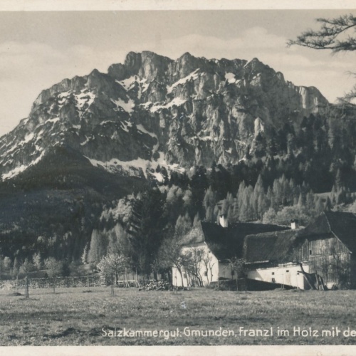 AK aus Gmunden Franzl im Holz Oberösterreich Ansichtskarte (15697)