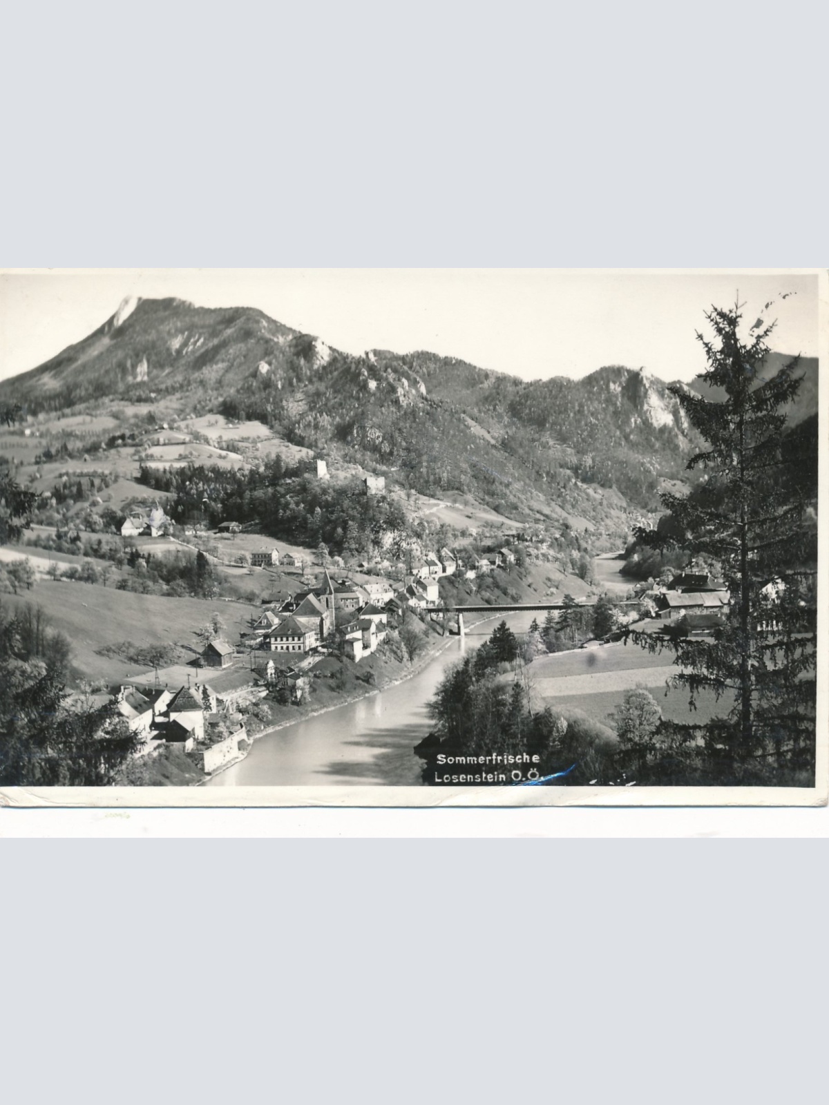 AK aus Losenstein Oberösterreich Ansichtskarte (15568)