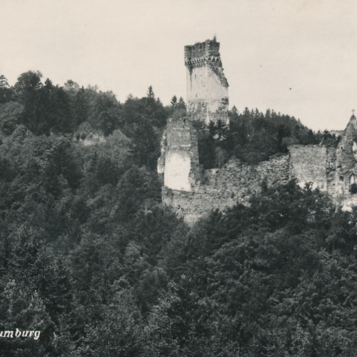 AK von der Ruine Schaumburg Oberösterreich Ansichtskarte (15548)