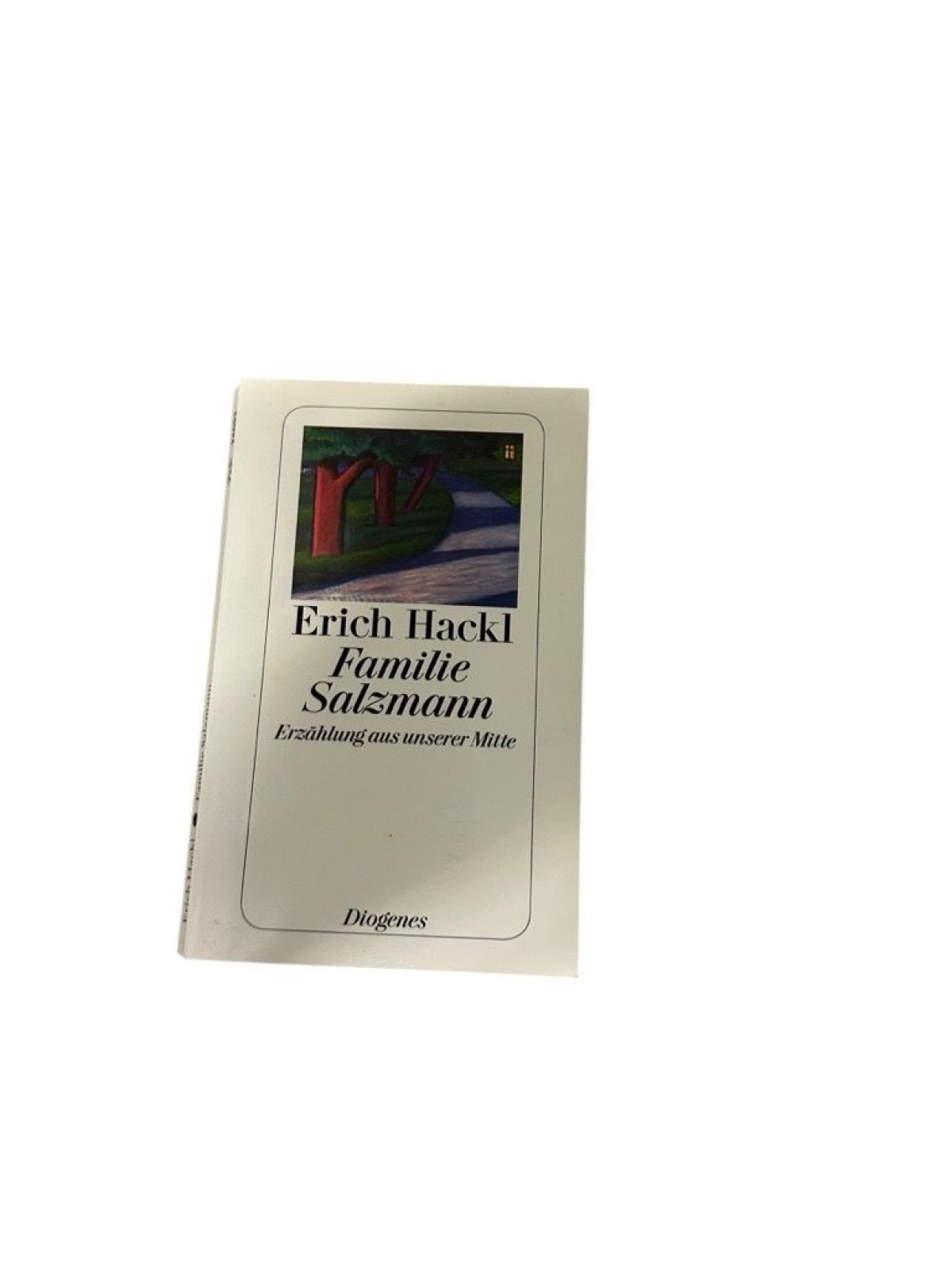 Familie Salzmann: Erzählung aus unserer Mitte (detebe) Erzählung aus unserer Mit
