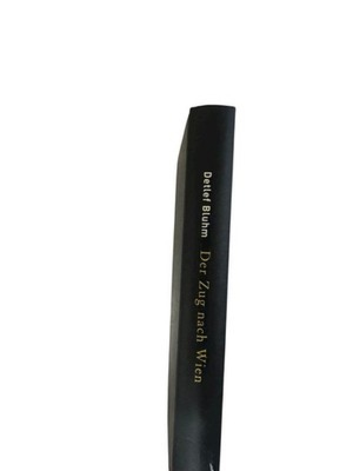 Der Zug nach Wien. Roman Roman Detlef Bluhm: