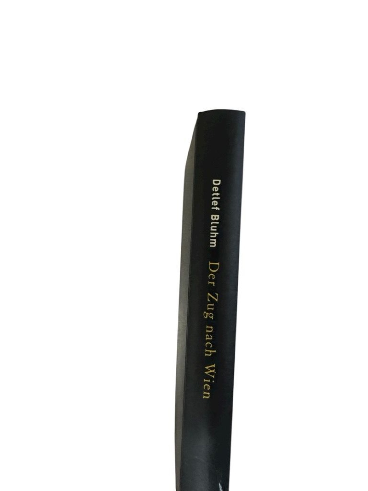 Der Zug nach Wien. Roman Roman Detlef Bluhm: