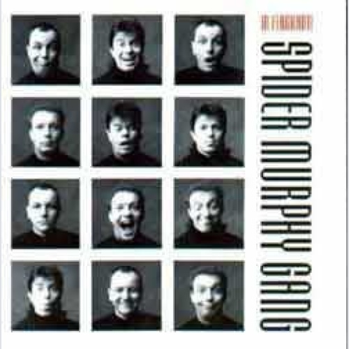 CD Spider Murphy Gang - In Flagranti