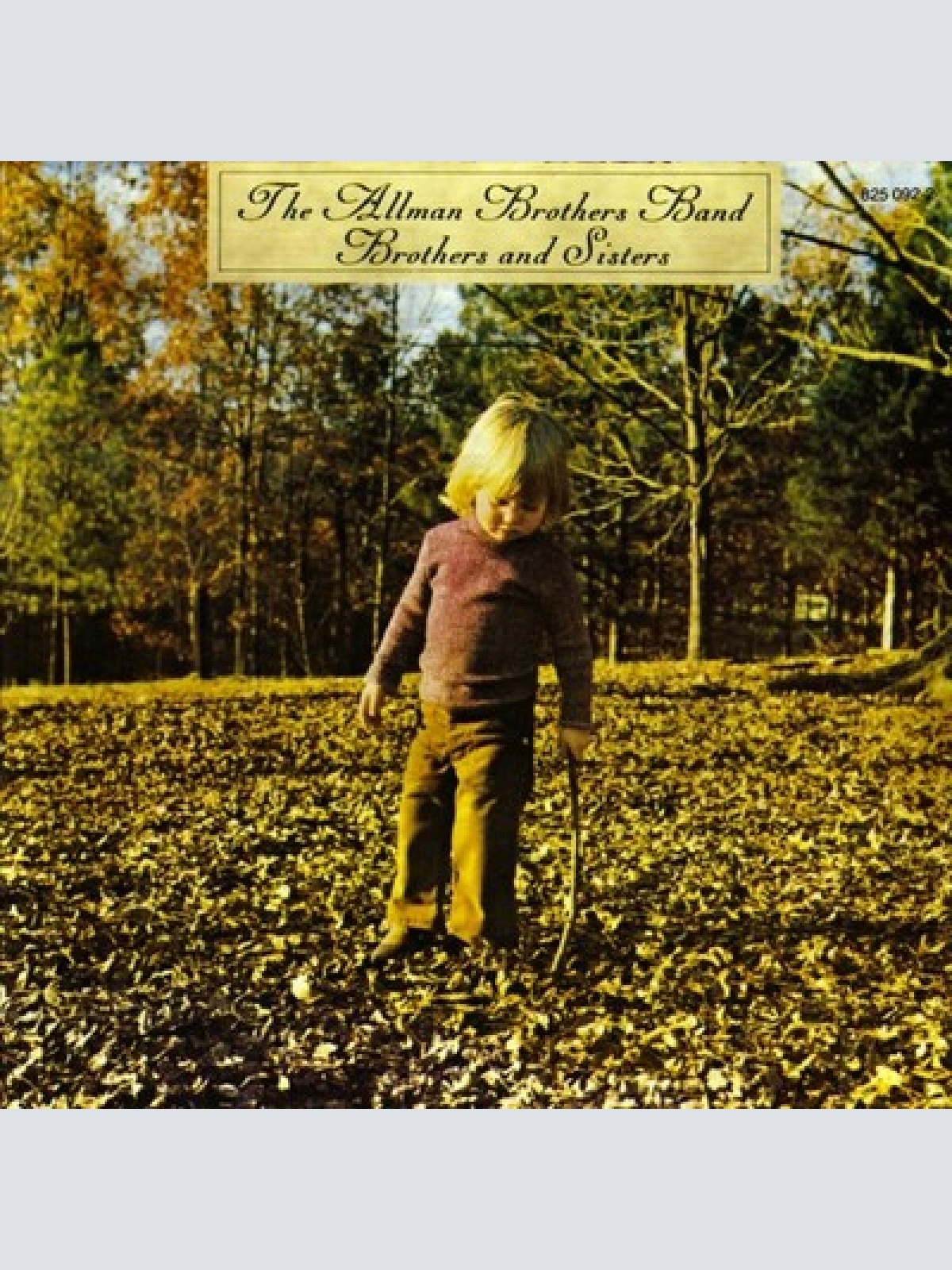 CD, Album, RE, RM The Allman Brothers Band - Brothers And Sisters