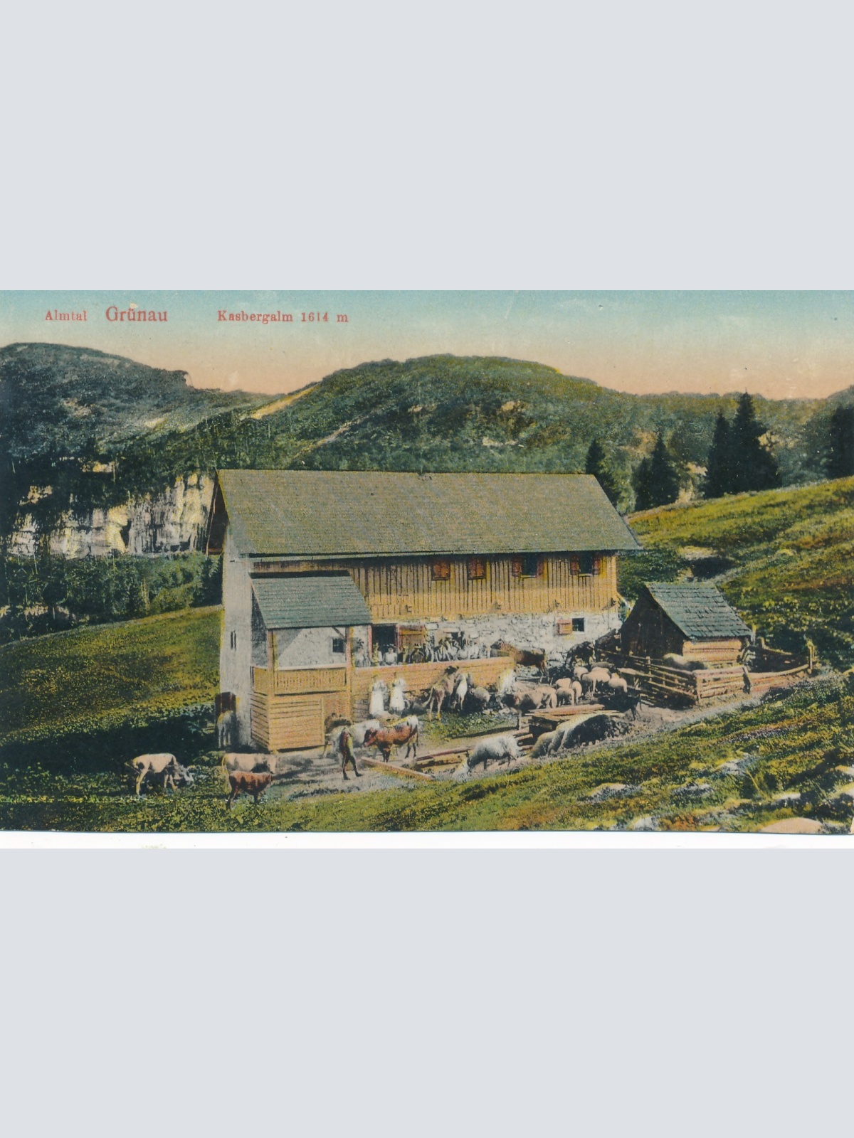 AK aus Grünau Oberösterreich Ansichtskarte (16408)