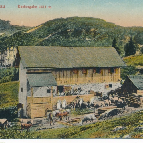 AK aus Grünau Oberösterreich Ansichtskarte (16408)