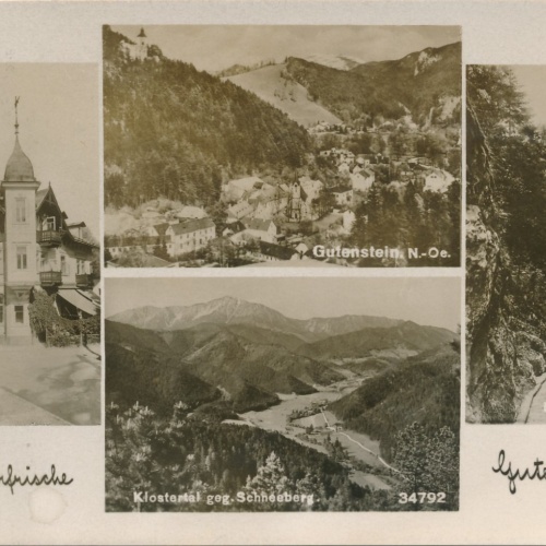 AK Gutenstein Niederösterreich Ansichtskarte (16641)