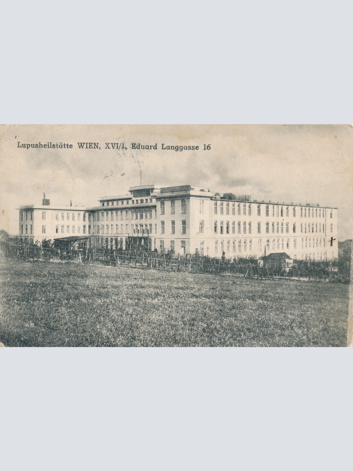 AK aus Wien Lupusheilstätte Ansichtskarte (16638)