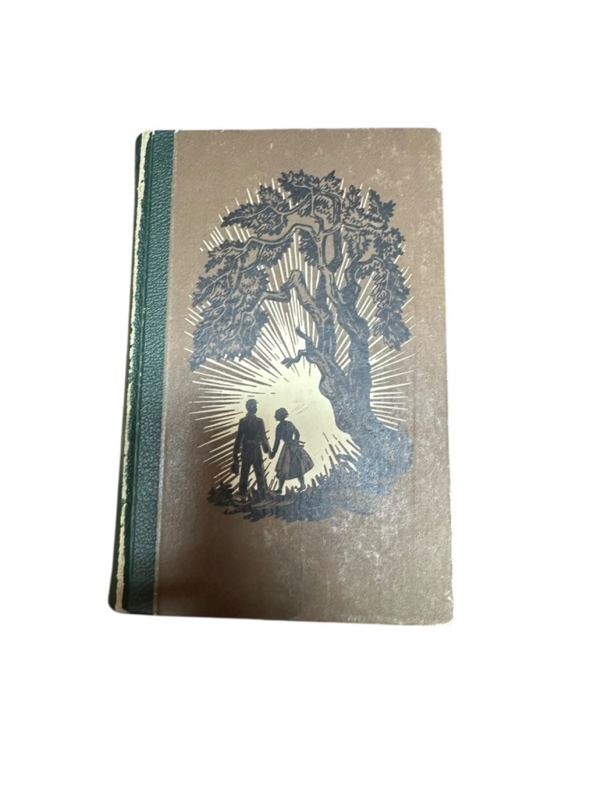 Gewitter im Mai : Roman Ludwig Ganghofer Ganghofer, Ludwig: