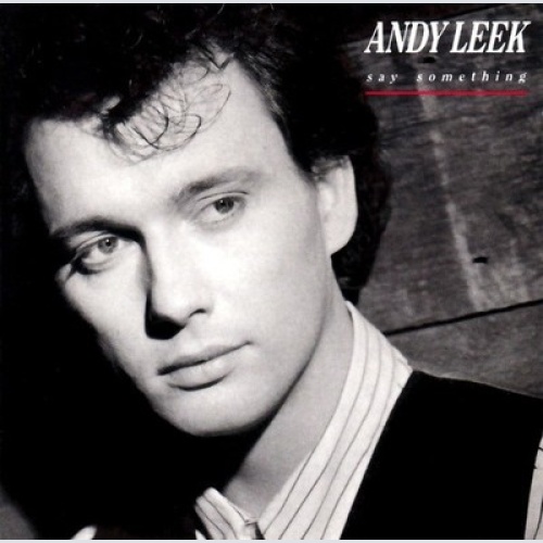 CD, Album Andy Leek - Say Something