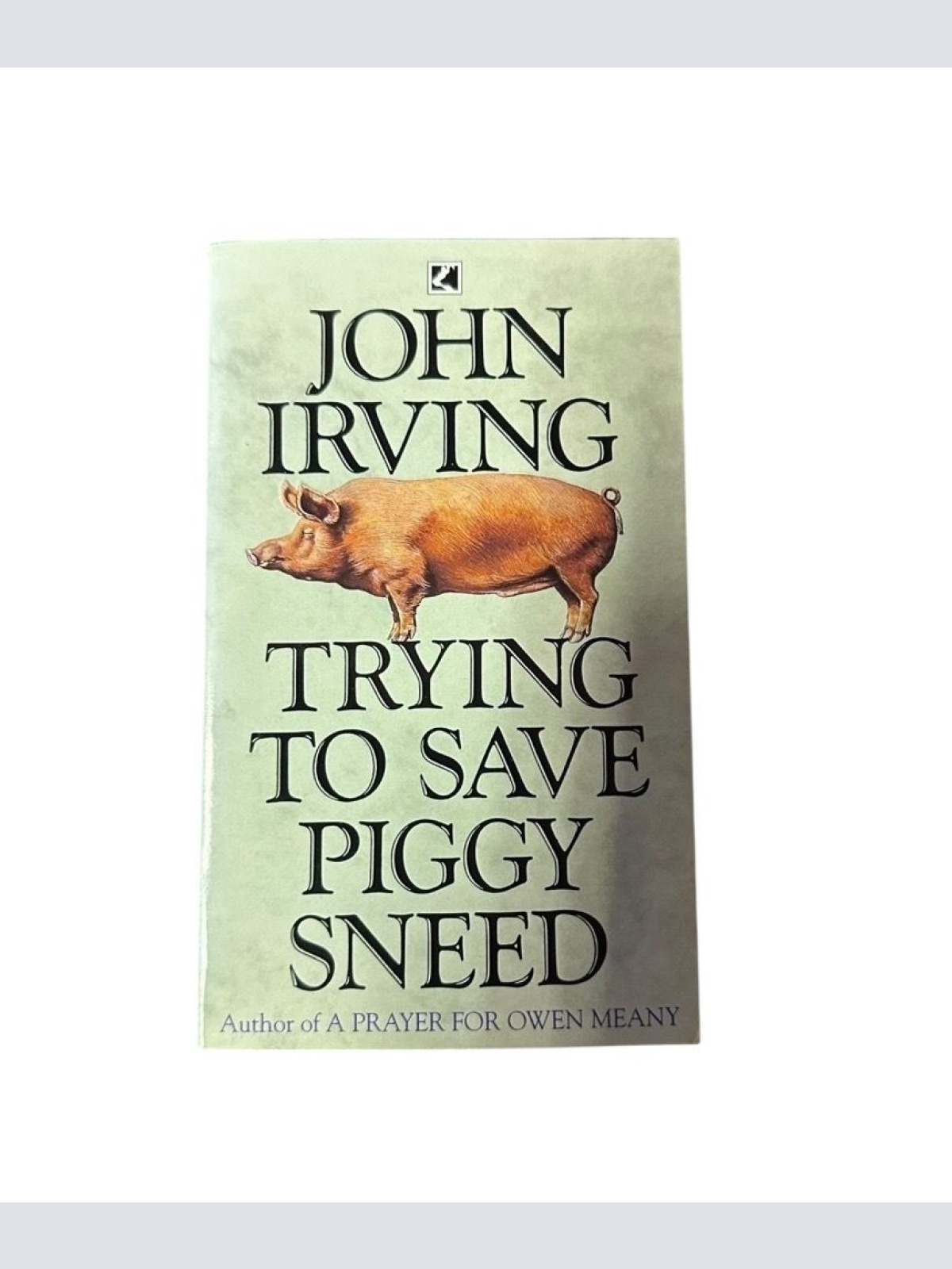 Trying To Save Piggy Sneed Irving, John:
