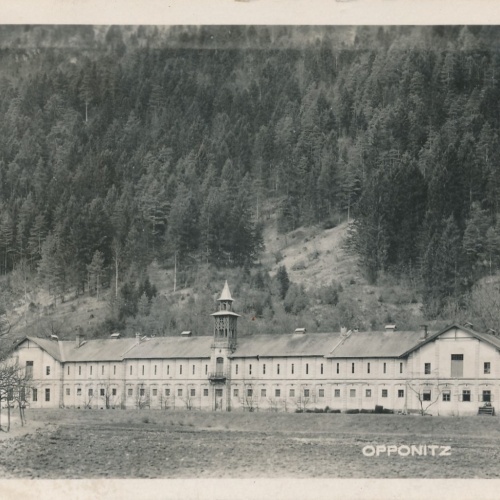 AK aus Opponitz Niederösterreich Ansichtskarte (16831)