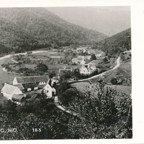 AK aus Steinegg Niederösterreich Ansichtskarte (16838)