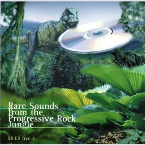 CD, Comp Various - Rare Sounds From The Progressive Rock Jungle