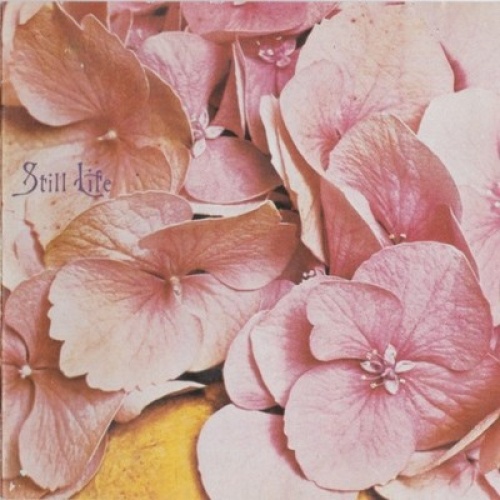 CD, Album, RE Still Life (7) - Still Life
