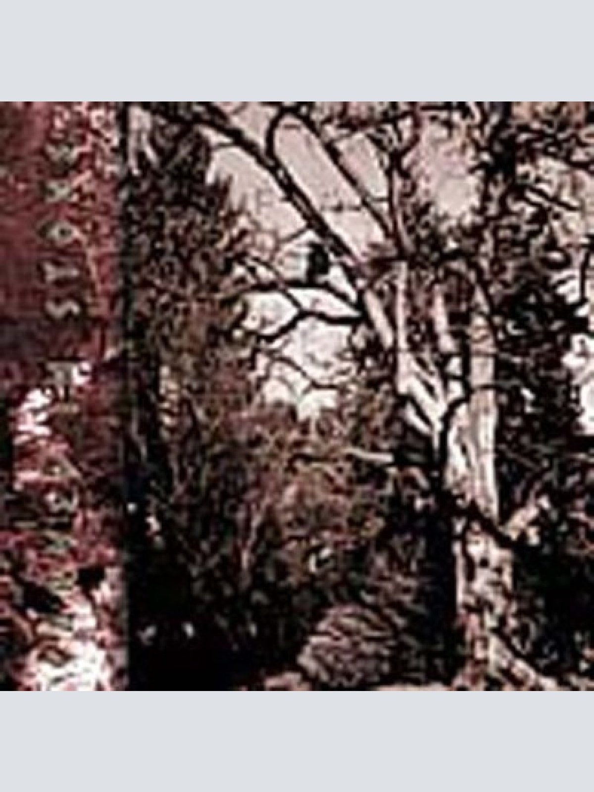 CD, MiniAlbum Carved In Stone - The Forgotten Belief