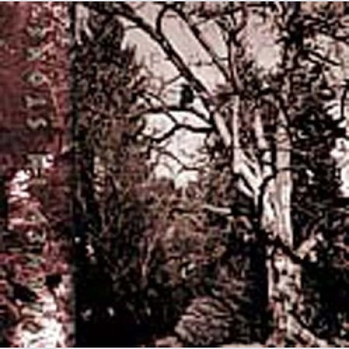 CD, MiniAlbum Carved In Stone - The Forgotten Belief