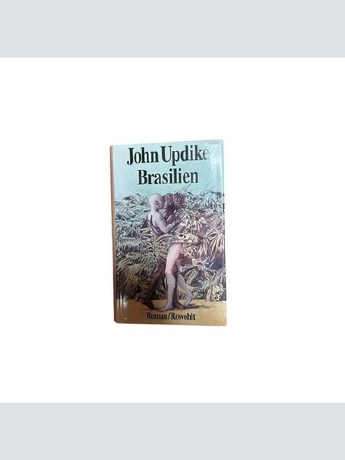 Brasilien. Roman Roman John Updike und Thomas Piltz: