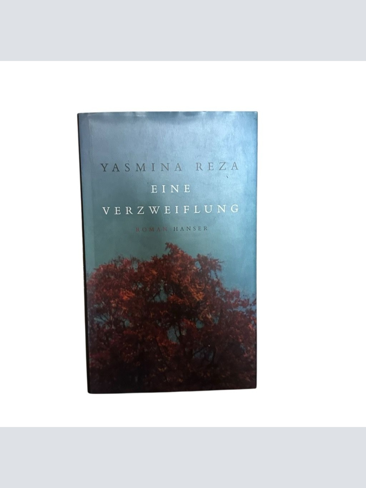 Eine Verzweiflung: Roman Roman Reza, Yasmina und Eugen Helmlé: