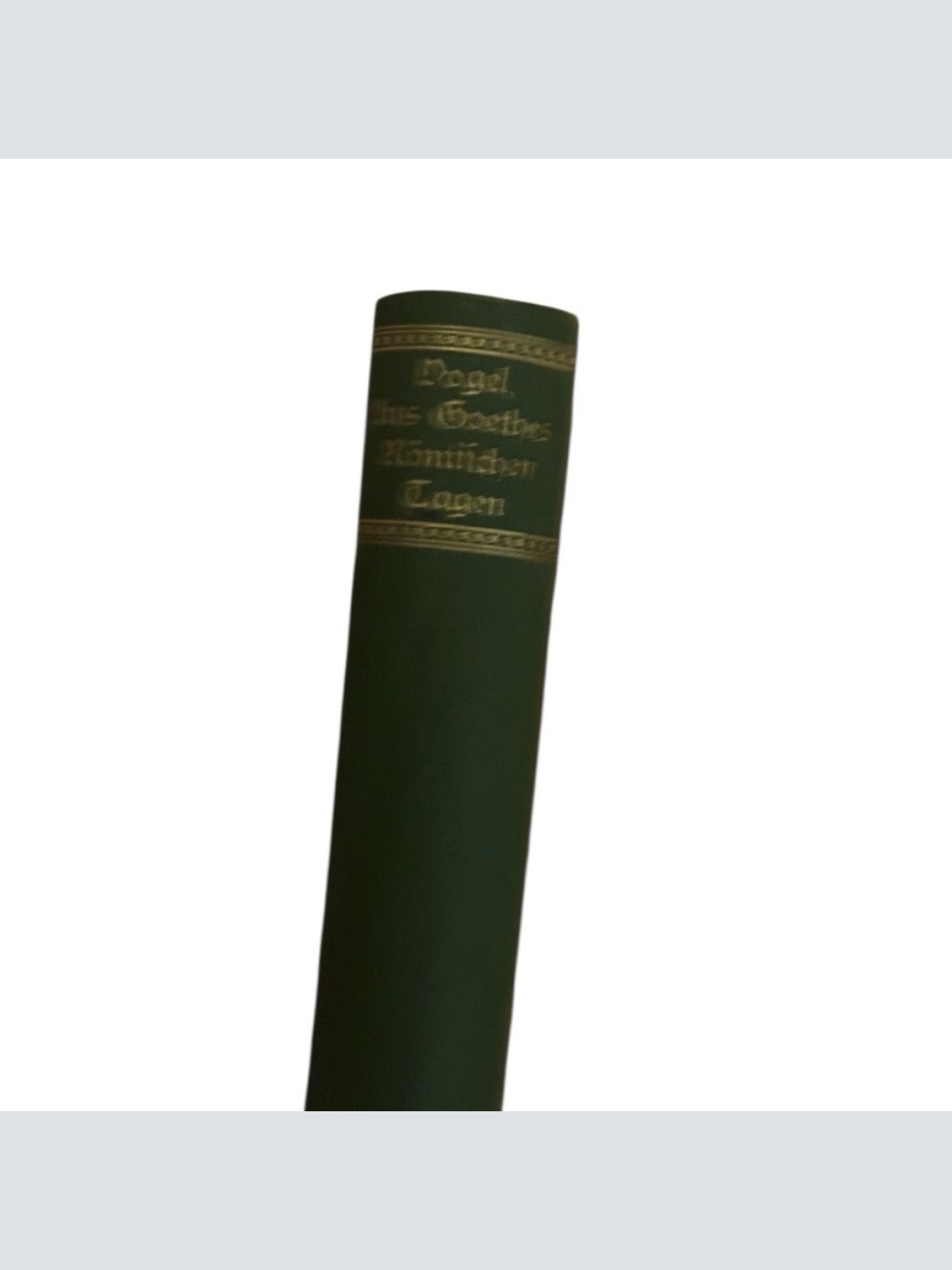 Aus Goethes römischen Tagen : Kultur- u. kunstgeschichtliche Studien z. Lebensge