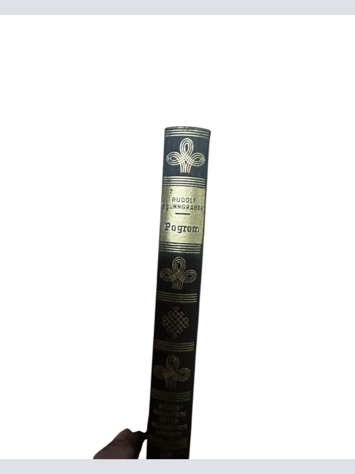 Pogrom. Roman. Rudolf Brunngraber: