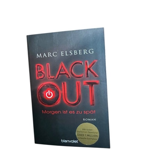 BLACK OUT - Morgen ist es zu spät: Roman - Der SPIEGEL-Bestseller verfilmt als S