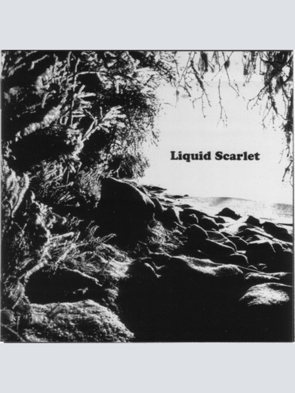 CD Liquid Scarlet - Liquid Scarlet