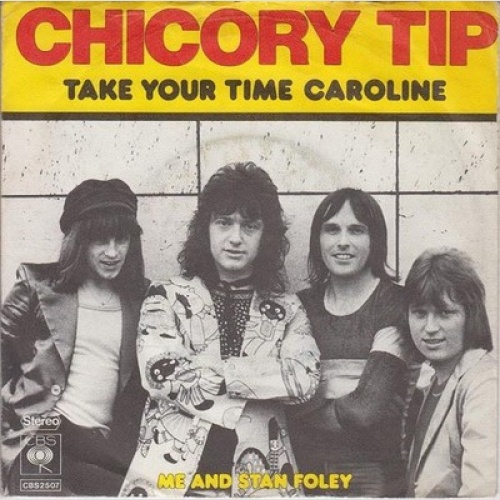 7", Single Chicory Tip - Take Your Time Caroline