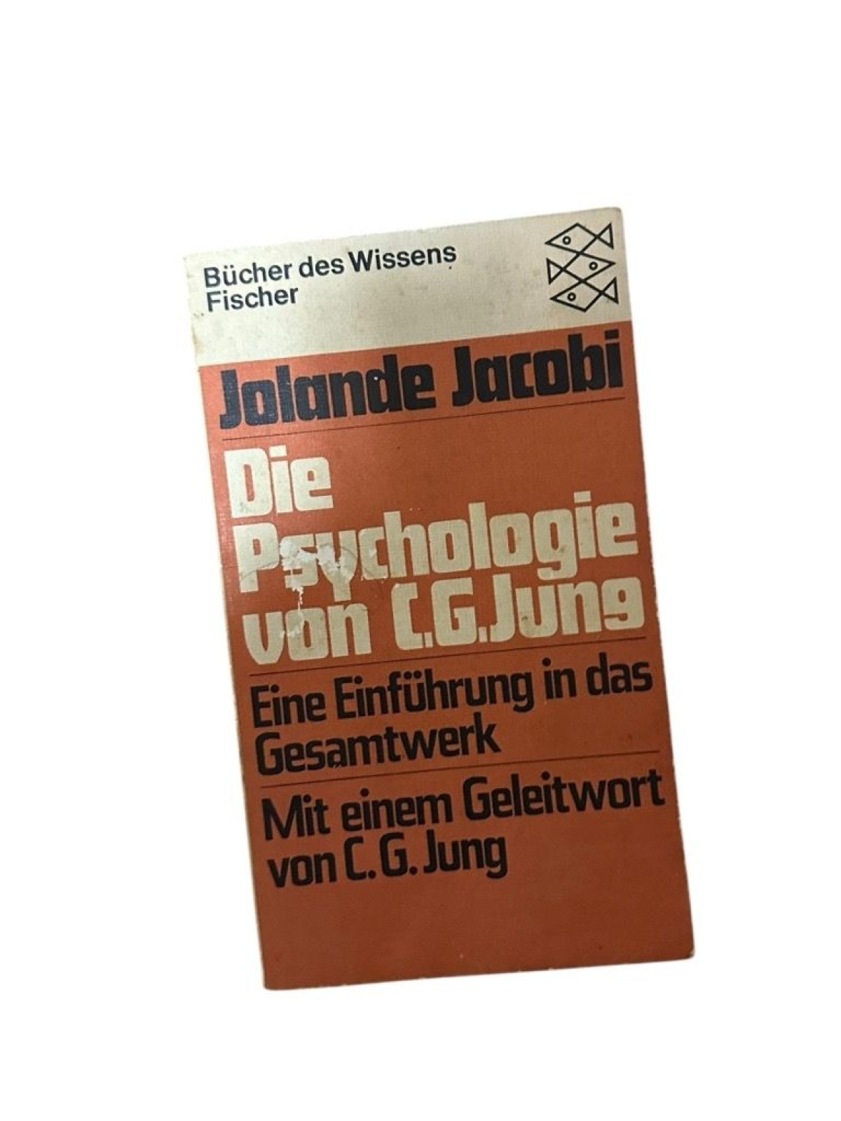 Die Psychologie von C. G. Jung: Eine Einführung in das Gesamtwerk (Fischer Philo