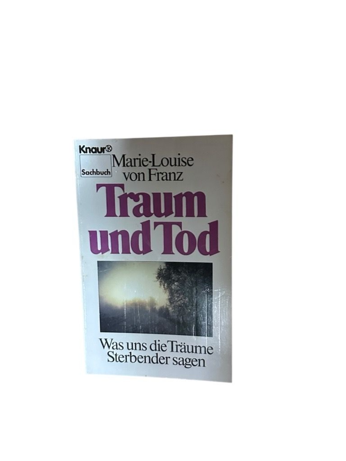 Traum und Tod: Was uns die Träume Sterbender sagen (Knaur Taschenbücher. Sachbüc
